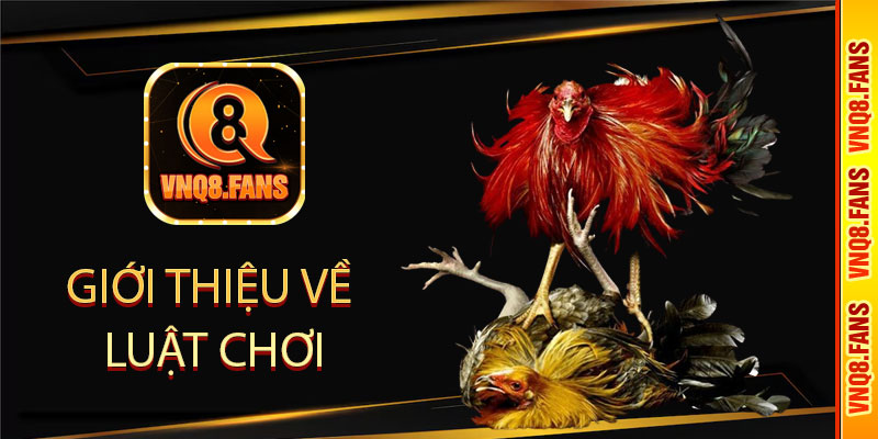 Giới thiệu về luật chơi