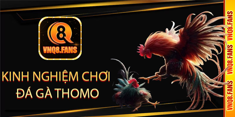 Kinh nghiệm chơi đá gà Thomo