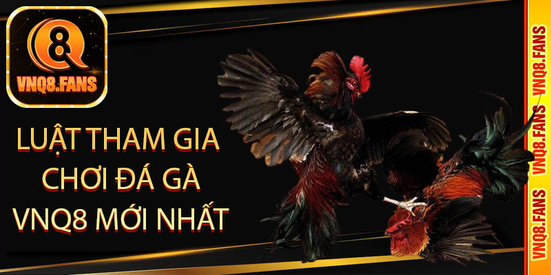 Luật tham gia chơi đá gà VNQ8 mới nhất