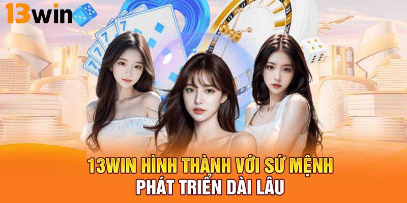 Vài nét về quy định điều khoản điều kiện 13Win